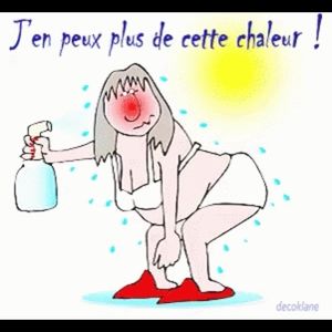 Meet your Posher, Andree